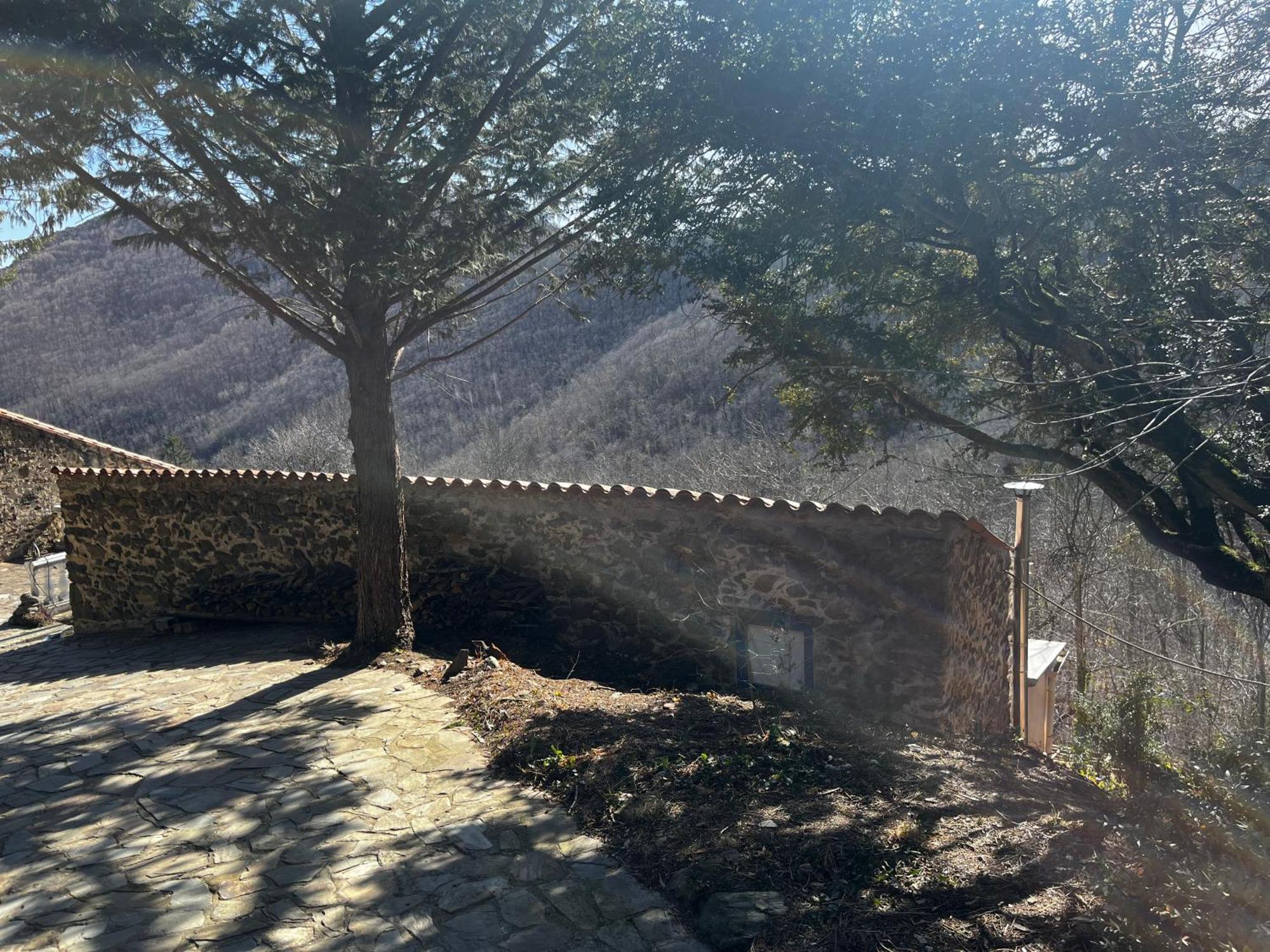 MontferrerMas Carausアパートメント エクステリア 写真